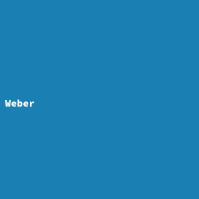 Hersteller: Weber